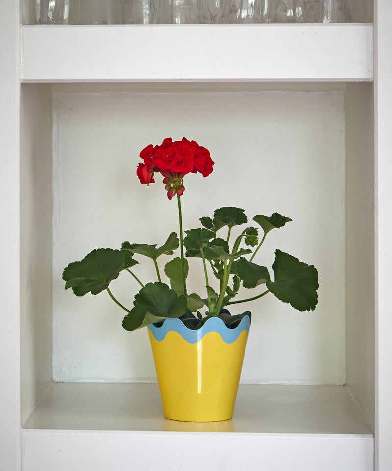 SCALLOP PLANTER, YELLOW, SMALL