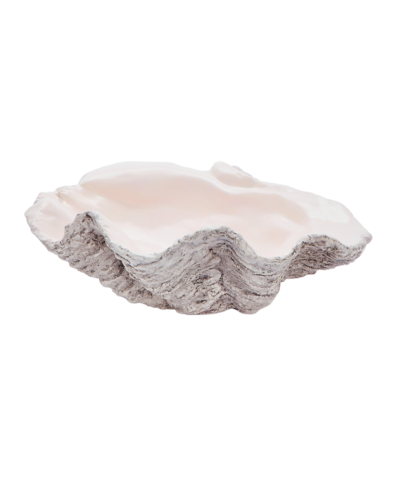 GIANT CLAM SHELL, CLASSIC IN PINK
