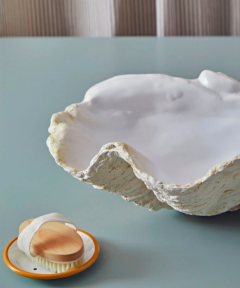 Giant Clam Shell, Classic In White – MATILDA GOAD & CO.