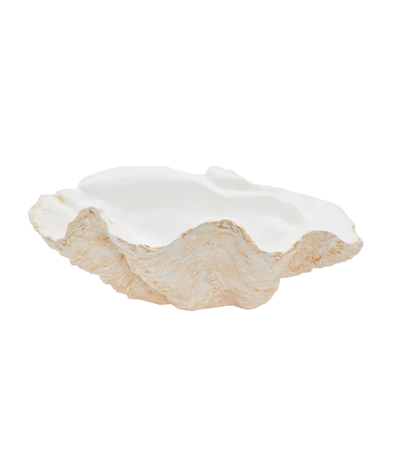 Giant Clam Shell, Classic In White – MATILDA GOAD & CO.